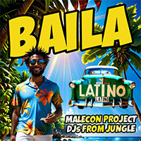 MALECON PROJECT x DJs FROM JUNGLE - BAILA (Latino Version)