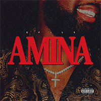 DFILS - AMINA