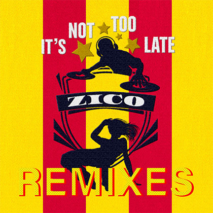 ZICO - IT'S NOT TOO LATE REMIXES